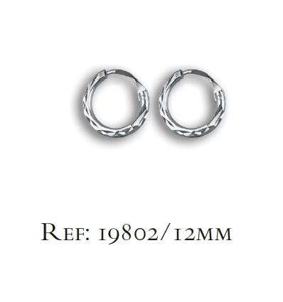 Boucles d'oreilles argent