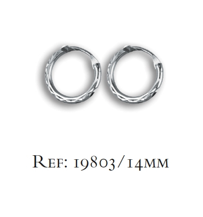 Boucles d'oreilles argent