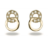 Gold plated earrings