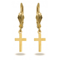 Gold plated earrings