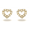 Gold plated earrings