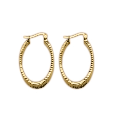 Gold plated earrings