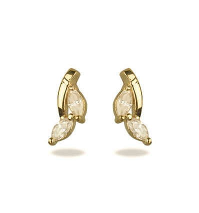 Gold plated earrings